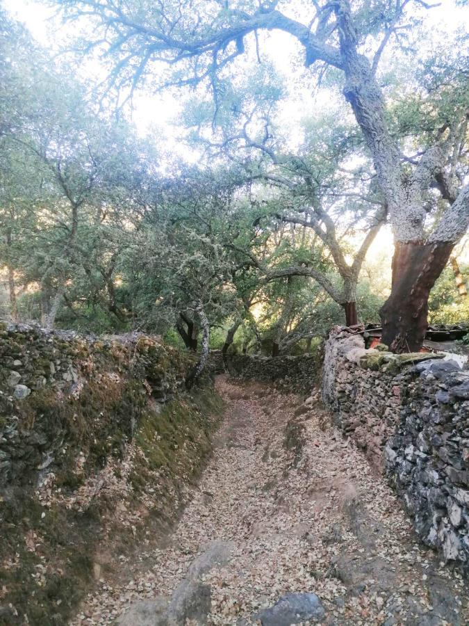 Casa Rural El Olivo Aracena Eksteriør bilde