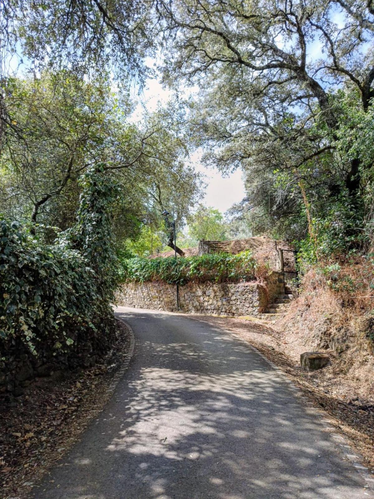 Casa Rural El Olivo Aracena Eksteriør bilde